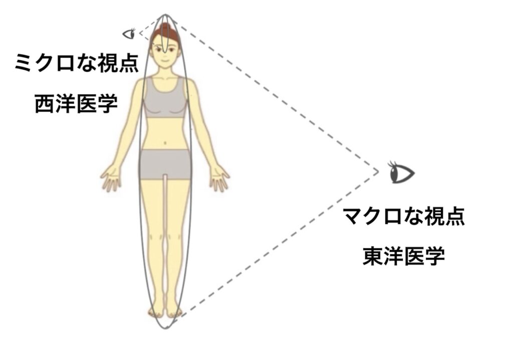 ミクロとマクロ